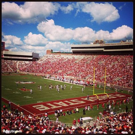 FSU Fsu Football Aesthetic, Fsu Stadium, Fsu Gameday, Western Wallpapers, Sorority Buttons, Fsu Football, Fb Games, Fsu Seminoles, Dream College