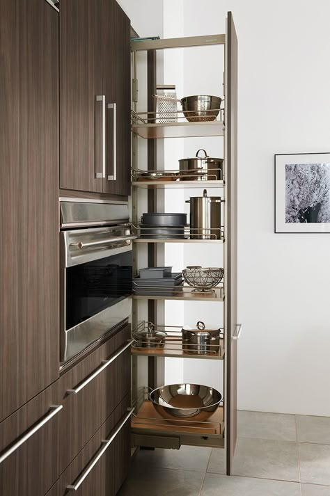 Tall pull-out pantry, as shown in the contemporary Expressions kitchen by #WoodMode. Contemporary Kitchen Cabinets, Old Kitchen Cabinets, Dark Wood Kitchens, Kitchen Cabinet Remodel, Classic Kitchen, Kitchen Storage Solutions, Modern Kitchen Cabinets, Smart Kitchen, Kitchen Cabinet Storage