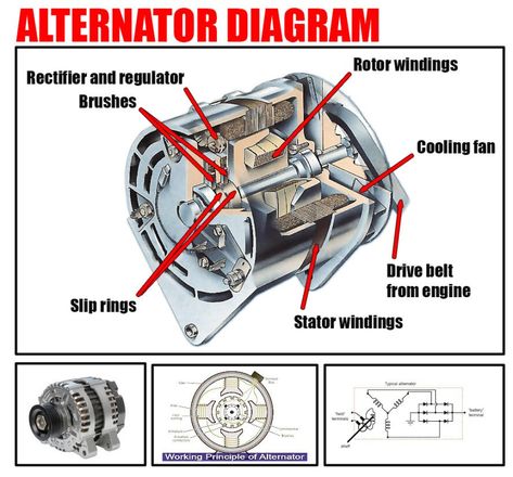 Alternator Diagram | Car Anatomy in Diagram Car Anatomy, Alternator Wiring Diagram, Car Brake System, Traction Motor, Car Mechanics, Car Alternator, Car Facts, Electrical Diagram, Car Batteries