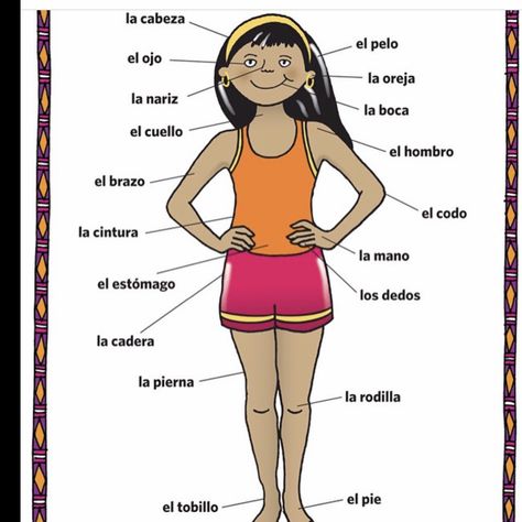 Spanish Club Activities, Spanish Body Parts, Body Parts In Spanish, Common Spanish Words, Human Body Worksheets, Spanish Practice, Courses To Learn, Preschool Spanish, Basic Spanish Words