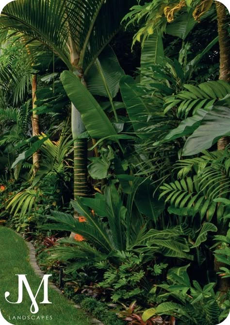 Subtropical Garden, Designer Garden, Tropical Backyard Landscaping, Small Tropical Gardens, Bali Garden, Balinese Garden, Tropical Landscape Design, Tropical Garden Design, Jungle Gardens