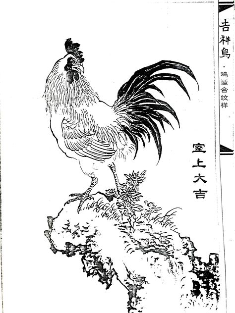 Japanese Rooster Tattoo, Rooster Tattoo, Rooster Art, Japanese Tattoo Art, Clip Art Vintage, Chinese Painting, Japanese Tattoo, Dark Anime, Linocut