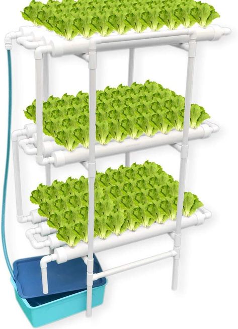 Hydroponic Gardening Diy, Hydroponics Setup, Vertical Hydroponics, Hydroponic Grow Systems, Hydroponic Farming, Hydroponics Diy, Hydroponic Growing, Hydroponic Plants, Plant Growing