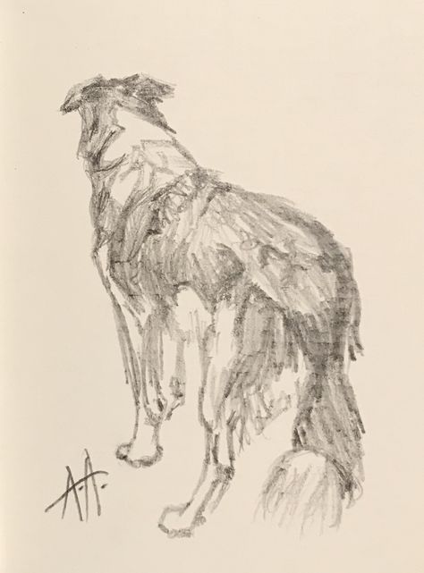 Another late night sketch in my tiny 3.5 x 2.5” sketchbook from a stock photo online of a border collie watching a field of sheep. Border Collie Sketch, Australian Shepherd Drawing, Night Sketch, Doodles Drawings, Australian Shepherd Dogs, Cute Doodles Drawings, Pencil Art Drawings, Dog Drawing, Doodle Drawings