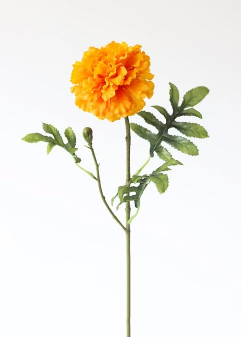 Artificial Flowers | Premium Silk Flowers At Afloral.com Marigold Flower Aesthetic, Juliette Tattoo, Orange Flowers Aesthetic, Marigold Illustration, Honey Witch, Diy Flower Projects, Flowers And Vases, Orange Marigold, Yellow Marigold