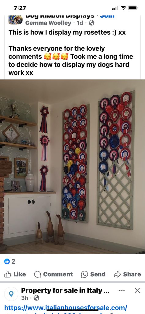 Equestrian Ribbon Display Ideas, Horse Ribbons Display Ideas, Award Shelves, Horse Ribbon Display, Show Ribbon Display, Horse Ribbons, Ribbon Wall, Ribbon Display, Diy House Projects