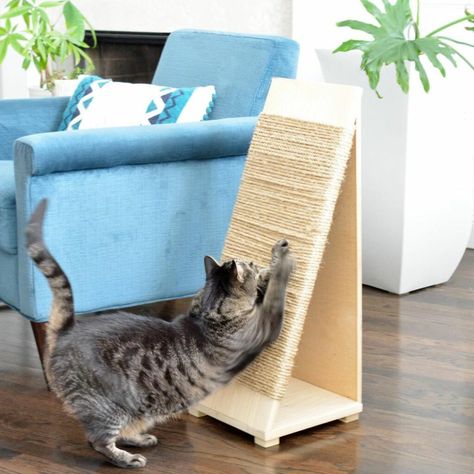 Diy Jouet Pour Chat, Diy Cat Scratching Post, Centsational Style, Diy Cat Scratcher, Diy Cat Tent, Katt Diy, Chat Diy, Homemade Cat Toys, Cat Tent