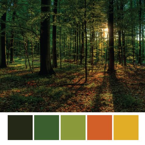 Woodland Colour Palette, Enchanted Forest Colour Palette, Forest Colour Pallet, Forest Core Color Palette, Woodland Palette, Fall Forest Color Palette, Moss Color Palette, Forest Tones Colour Palettes, Forest Pallete