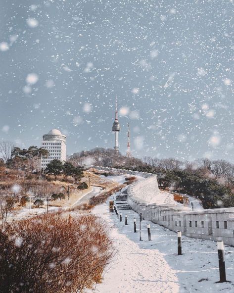 #korean Snow In Korea, Winter In Korea, Seoul Photography, Countryside Photos, Streets Of Seoul, Korea Winter, South Korea Photography, Seoul Korea Travel, Snow Season