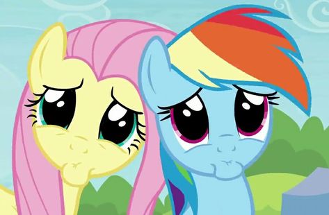 Fluttershy And Rainbow Dash, Mlp Screencaps, Mlp Pfps, Fluttershy Rainbow Dash, Mlp Memes, Equestrian Girls, Robin Bird, Cute Rainbow, My Little Pony Pictures