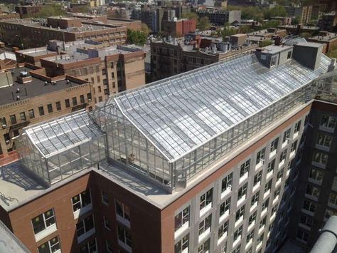 Rooftop greenhouse Rooftop Greenhouse, Traditional Greenhouses, Vertical Farm, Greenhouse Vegetables, Vertical City, Garden Pond Design, Conservatory Garden, Vertical Farming, Urban Agriculture