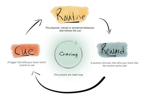 The Habit Loop: How To Start New Habits That Actually Stick With The Power Of 3 R's — Steemit Habit Loop, Habit Books, Break A Habit, Fat Burner Supplements, Habit Stacking, Atomic Habits, Metabolism Booster, Break Bad Habits, Habits Of Successful People