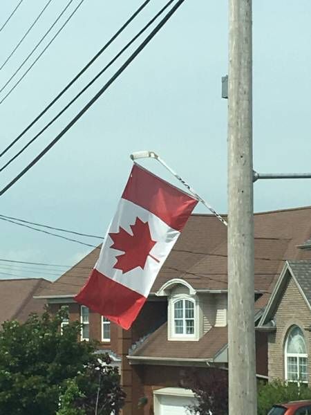 true Canadian Canadian Memes, Canada Memes, Canadian Humor, All About Canada, Meanwhile In Canada, Canadian Things, I Am Canadian, Canada Eh, Canadian Girls