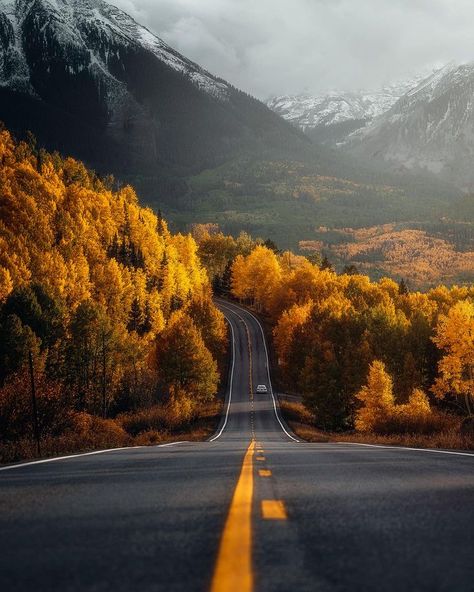 Forrest J Funk | Photographer (@funkdrone) • Instagram-kuvat ja -videot Fall Wonderland, Trout Lake, Fall Images, Fall Aesthetic, Fall Wallpaper, Wyoming, Animals Beautiful, Beautiful Nature, Travel Destinations