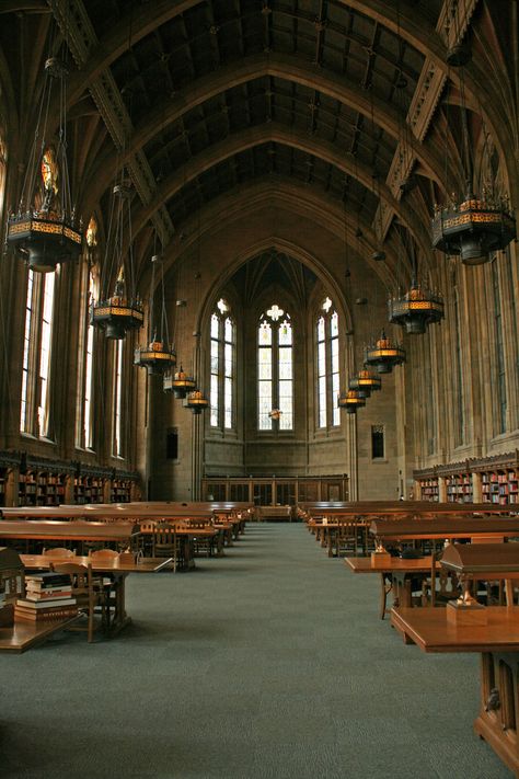 A great quiet study spot on campus. Right outside this room is the worlds largest book, very fitting to commemorate the reading room. #youW Photo by Erin Bestrom Law School Library, Library Essentials, School Libraries, University Architecture, College Library, Autumn In New York, Dream School, University Of Washington, Dark Academia Aesthetic