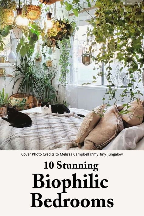 Biophilic Bedroom Ideas Plant Wall Over Bed, Plant Canopy Bedroom, Botanical Bedroom Ideas Cozy, Bedroom With Plants And Books, Plant Shelf Behind Bed, Over Bed Plant Shelf, Hanging Plants Above Bed, Canopy Bed With Plants, Bedroom Full Of Plants