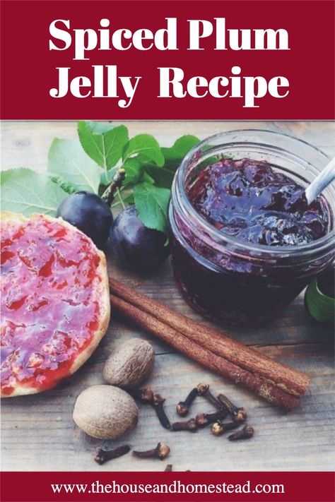 This plum jelly makes quick and easy use out of plums without having to pit them. The final product is a beautiful purple, sweet, spiced plum jelly that tastes like what cozy feels like. It also makes an excellent homemade Christmas gift! Spiced Plum Jelly Recipe, Spiced Plum Jam, Plum Jelly Recipe, Marmelade Recipe, Homestead Christmas, Prune Plum, Plum Juice, Plum Trees, Homemade Christmas Gift