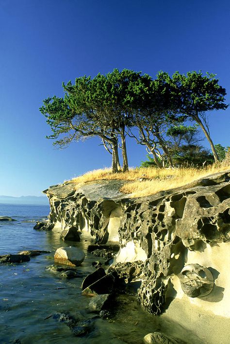 Sandstone Islet near Gabriola Island, British Columbia, Canada Scenery Beach, Phuket Island, Adventure Vacation, Nature Scenery, Cypress Trees, British Columbia Canada, Incredible Places, Vancouver Island, Travel Adventure