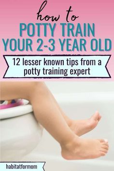 Potty Training Toddler Boy, Boy Potty Training Tips, Potty Training Books, Boys Potty, Potty Training Rewards, Potty Training Toilet, How To Potty Train, Potty Training Girls, Toddler Potty