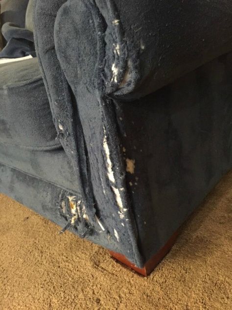 Repairing Cat Scratched Couch How To Fix Couch From Cat, Couch Repair Fabric, How To Repair Couch Arm, Cover Cat Scratches On Couch, Fix Cat Scratched Furniture, How To Fix Cat Scratched Couch, Embroidered Couch Repair, Couch Patch Ideas, Cat Scratched Couch