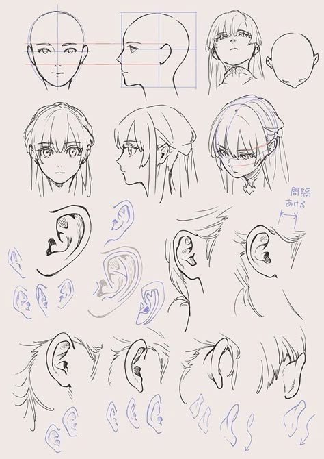 Face Anatomy Drawing Anime, Side Art Reference, Anime Sketch Anatomy, Anatomy Reference Anime, Manga Anatomy Reference, Face Anime Tutorial, Anime Head Drawing Reference, Anime Face Anatomy, Anime Body Anatomy