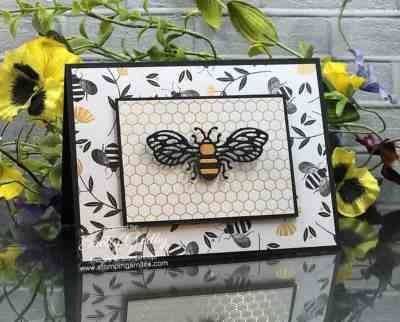 Cards With Bees, Honey Bee Cards, Bee Diy, Bee Stamp, Spring Stamps, Bee Flower, Honey Bee Stamps, Golden Honey, Card Crafting