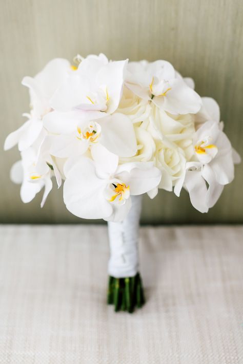 Orchid Wedding Theme, Orchid Centerpieces Wedding, White Orchid Bouquet, Orchid Bridal Bouquets, Orchid Bouquet Wedding, Modern Bridal Bouquets, Simple Wedding Bouquets, Purple Tree, Orchid Bouquet