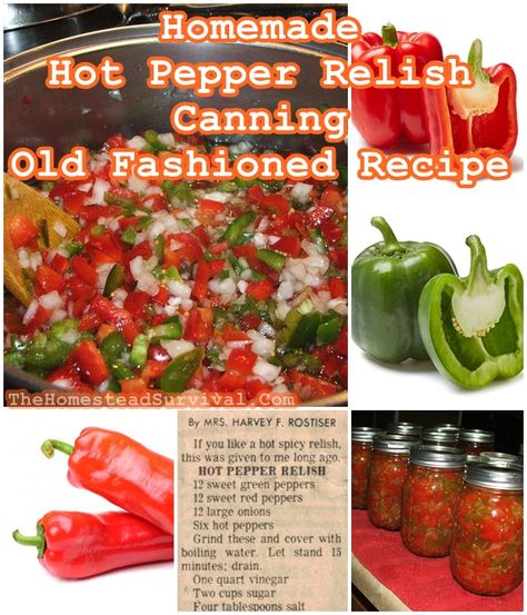 Hot Pepper Relish Canning Recipes, Hot Pepper Relish Canning, Hot Pepper Relish Recipe, Pepper Relish Recipe Canning, Pepper Relish Canning, Canning Bell Peppers, Pepper Relish Recipe, Hot Pepper Relish, Canning Peppers