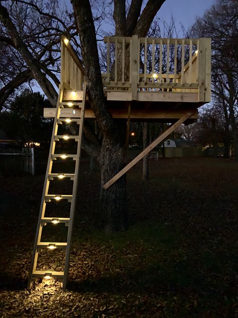 Tree House Stairs Ideas, Tree House Accessories Kids, Backyard Treehouse Ideas, Treehouse Between Two Trees, Adult Tree House Backyards, Tree House Decorating Ideas Inside, Tree House Designs For Kids, Tree House Simple, Tree House Stairs