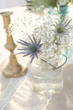 Babys-Breath and Blue-Thistle Centerpieces { this might be my best beat} Thistle Table Decorations, Blue Thistle Wedding Centerpieces, Blue Thistle Flower Arrangements, Wedding Flowers With Blue Thistle, Thistle Centerpiece, Wedding Table Decorations Blue, White Rose Blue Thistle Boutonniere, Blue Globe Thistle, Vintage Rustic Wedding