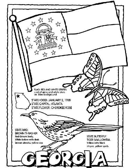 Hawaii Printables, Hawaiian Bar, Crayola Coloring Pages, States And Capitals, Cc Cycle 3, Flag Coloring Pages, Homeschool Geography, State Symbols, State Birds