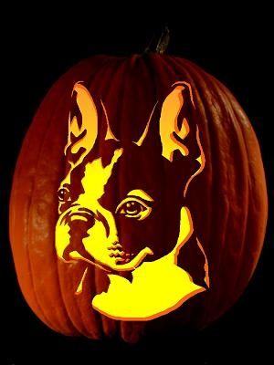 boston terrier pumkins | Boston Terrier Pumpkin! | Love these things & places Boston Terrier Pumpkin, Box Terrier, Boston Terrier Halloween, Boston Butts, Boston Terrior, Bulldog Drawing, Fall Diys, Boston Terrier Art, Cat Template