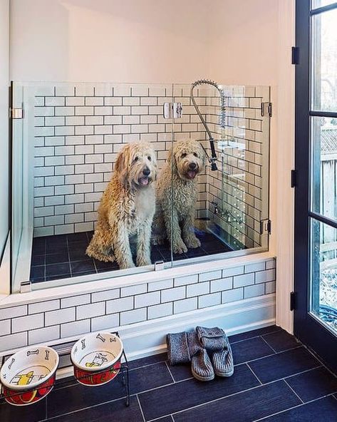 Top 60 Best Home Dog Wash Station Ideas - Canine Shower Designs Dog Shower Ideas, Dog Showers, Dog Wash Station, Mud Room Ideas Entryway, Dog Station, Black Labradoodle, Dog Bathing, Wash Station, Washing Station