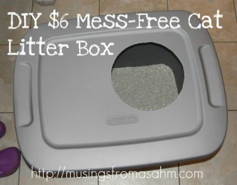 20 Purrfect DIY Projects for Cat Owners Litter Box Ideas, Diy Litter Box, Chat Diy, Ham Recipe, Scalloped Potatoes, Cat Box, Free Cats, Cat Training, Animal Projects