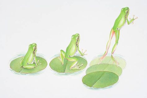 Frog Leaping, Frogs Jumping, Three Animals, Jumping Frog, Frog Frog, Frog Illustration, Frog Drawing, Glass Frog, Poster Illustration