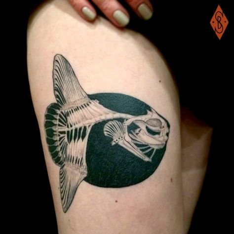 Biology Tattoo, Hairline Tattoos, Negative Space Tattoo, Mola Mola, M Tattoos, Bone Tattoos, Tattoo Graphic, Fish Tattoo, Japanese Tattoo Art