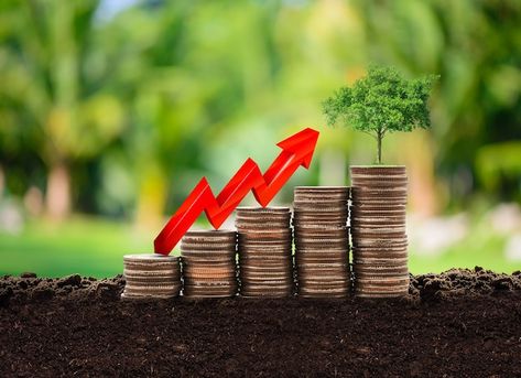 Growing Money, Investment Growth, Photo Money, Money Growing, Money Increase, Money Growth, Grow Money, August Moon, Money Wallpaper