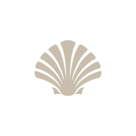 Seashells Illustrations, Royalty-Free Vector Graphics & Clip Art - iStock Seashell Logo Design, Seashell Logo, Shell Symbol, Beach Graphic Design, Shell Illustration, Seashell Illustration, Shell Graphic, Shell Logo, Seashell Design