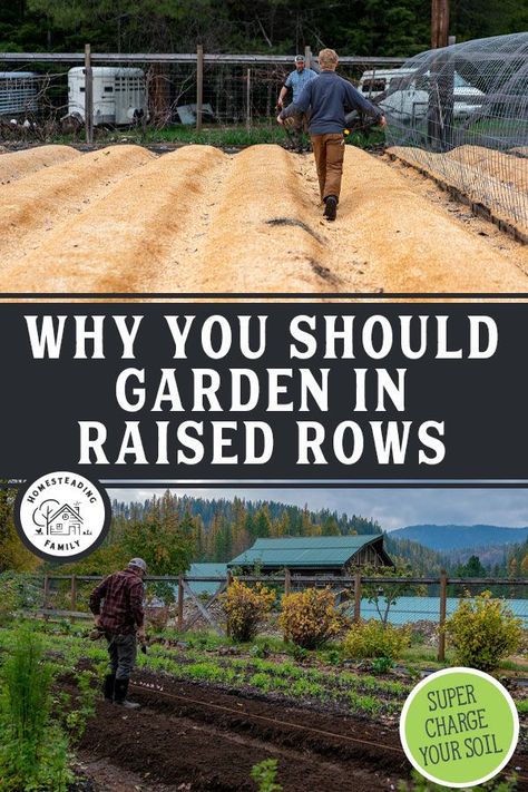 Types Of Garden Beds, Raised Rows Gardening, Raised Garden Bed Rows, Row Vegetable Garden Layout, Row Planting Vegetable Gardening, Raised Garden Beds Vs In Ground, Making Garden Rows, Grocery Row Gardening, Garden Rows Ideas