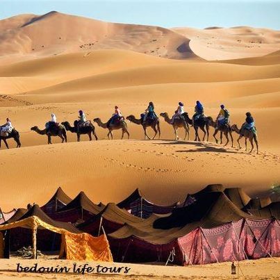 Bedouins Morocco Tours, Desert Tour, The Sahara Desert, Morocco Travel, Marrakech Morocco, Sahara Desert, Foto Art, Bora Bora, In The Desert