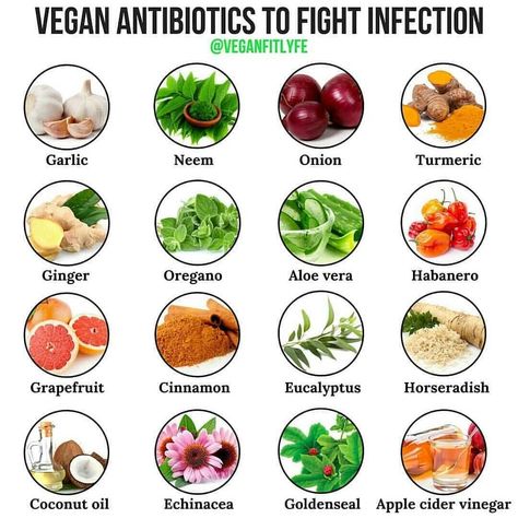 Natural Antibiotic, Natural Antibiotics, Home Health Remedies, Natural Teeth Whitening, Natural Health Remedies, Tag Someone Who, Tag Someone, Health Remedies, Herbal Remedies