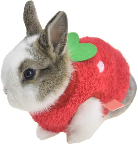 AmazonSmile : Winter Warm Bunny Rabbit Clothes Small Animal Chinchilla Ferret Costume Outfits XXS Dog Clothes (3XS(Bust 8.6"), Red) : Pet Supplies Pet Rabbit Clothes, Teacup Dog Clothes, Kitten Clothes, Rabbit Clothes, Puppy Costume, Rabbit Costume, Puppy Coats, Pet Bunny, Bunny Outfit