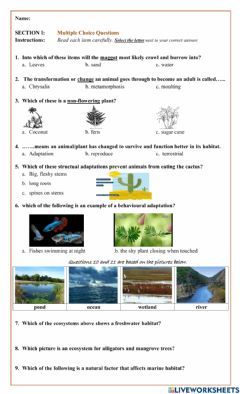 Grade 4 Natural Science Worksheets, Grade 4 Science Worksheets, Adaptations Science, Dok Levels, Science Life Cycles, Grade 2 Science, Grade 3 Science, Plant Adaptations, Science Quiz