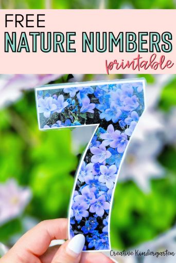 Grab this free nature numbers printable that you can use for math centers or provocations. Use with loose parts or other materials to build number sense or math skills. Nature Numbers Printable, Number Sense Provocations, Math Number Cards, Preschool Math Centers, Nature Letters, Building Number Sense, Numbers Printable, Natural Number, Free Nature