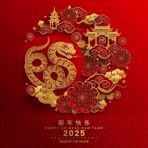 Happy chinese new year 2025 the snake zodiac sign with flower,lantern,asian elements red paper cut style on color background. Year Of The Snake 2025, Snake Zodiac, Flower Lantern, Chinese New Year Background, Chinese Background, Chinese New Year Design, Chinese Decor, Year Of The Snake, Chinese Year