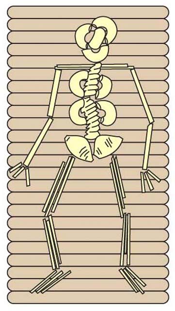 Pasta Skeleton · Art Projects for Kids Skeleton Art Projects, Pasta Skeleton, Skeleton Project, Xray Art, Art Projects For Kids, Cork Art, Skeleton Art, Daycare Crafts, Diy Crafts For Kids Easy