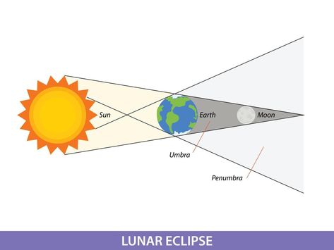 Lunar Eclipse Diagram, Eclipse Lunar, Earth Illustration, Science Club, Lunar Eclipse, On Earth, Premium Vector, Graphic Resources, Vector Art