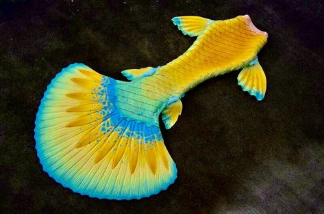 Yellow Mermaid Tail, Fish Tails, Realistic Mermaid Tails, Mermaid Tales, Yellow Mermaid, Mermaid Ideas, Realistic Mermaid, Mermaid Costumes, Mermaid Fin