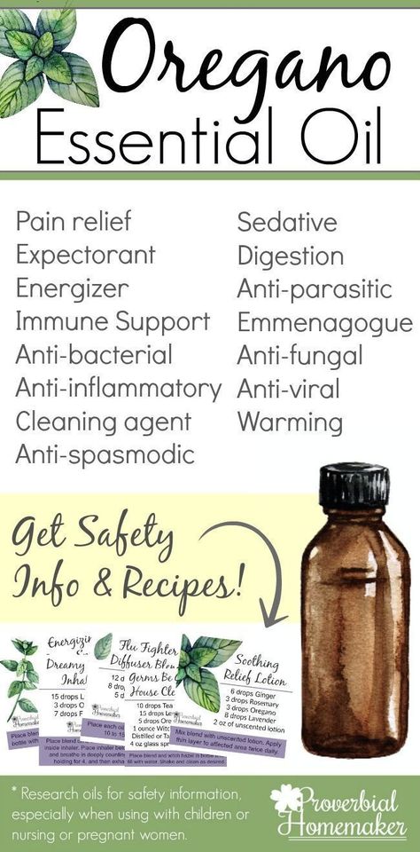 There are so many uses for oregeno essential oil! Check this out for a list of uses, safety info, and even recipes! #proverbialhomemaker #essentialoils #oreganooil #oregano #essentialoilstips #oils #healthyliving #healthytips Uses For Oregano, Benefits Of Oregano, Oregano Oil Benefits, Oregano Essential Oil, Essential Oils For Pain, Oregano Oil, Chamomile Essential Oil, Healing Oils, Oil Benefits