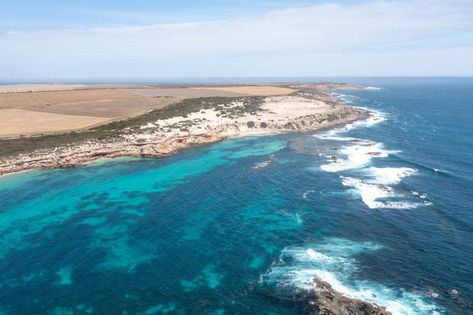 Want to see some epic camping in the Eyre Peninsula? Check this out Eyre Peninsula, Travel South, Best Of The Best, South Australia, The Details, Camping, Australia, The Incredibles, Travel